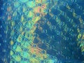 Free Fancy Pattern 1 Stock Images - 512074