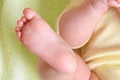 Free Baby Feet (6 Month) Stock Photo - 5100860