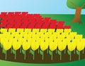 Free Tulips Royalty Free Stock Image - 5106596