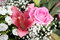 Free Flowers Bouquet Stock Images - 5100194