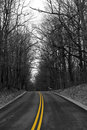 Free Yellow Road Royalty Free Stock Image - 5116936