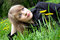 Free Beautiful Woman Enjoying The Sun In The Park Royalty Free Stock Photography - 5114377