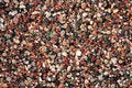 Free Shallow Pebble Stock Photography - 5122712