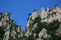 Free Plank Road Built Along A Cliff Stock Images - 5129464