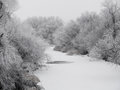 Free Frosted Creek Bank Stock Image - 5129971