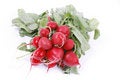 Free Fresh Radish Stock Photography - 5134762