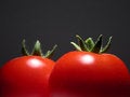Free Tomatoes Stock Photo - 5144790