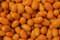 Free Kumquat Original Plant Of China Stock Photo - 5143290