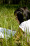 Free Pretty Young Girl Reading On The Grass Royalty Free Stock Images - 5149079