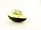 Free Mayonnaise Over Avokado And Dill Stock Images - 5152884