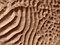 Free Dirt Texture Stock Photo - 5153770