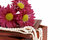 Free White Pearls With Pink Flowers Royalty Free Stock Photography - 5159257