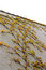 Free Yellow Ivy Stock Image - 5168211