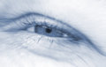 Free Eye Contact Royalty Free Stock Images - 5173749