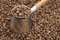 Free Turkish Coffee Pot. Royalty Free Stock Photo - 5173485