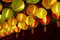 Free Vesak Light Up 2008 Royalty Free Stock Photos - 5177098