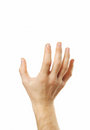 Free Palm To Hold Royalty Free Stock Images - 5180549