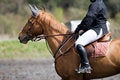 Free Horse On A Jumping Event Stock Image - 5188791