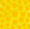 Free Dandelions Stock Images - 5180524