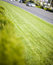 Free Grass And Cars Stock Photo - 5185400