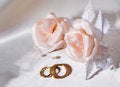 Free Wedding Rings Stock Photography - 5191982
