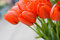Free Beautiful Red Tulips Royalty Free Stock Photo - 5198095