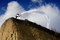 Free Wind Stock Images - 5198814