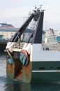 Free Starboard Royalty Free Stock Photography - 523107