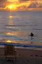 Free Morning Swim Royalty Free Stock Photo - 524415