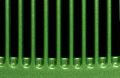 Free Comb Royalty Free Stock Images - 527519