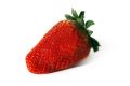 Free Isolated Strawberry Stock Photos - 527593