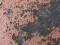 Free Old Metall Wall Stock Images - 526334