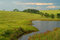 Free Landscape Stock Photography - 5200482