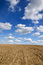 Free Ploughed Field. Stock Photography - 5207662