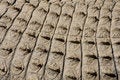 Free Croc Skin 1 Royalty Free Stock Photos - 5212848
