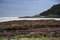 Free Sunshine Sea View With Overcast Sky Stock Photos - 5213023