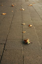 Free Sidewalk In Autumn Royalty Free Stock Photos - 5221218