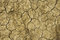 Free Close Up On Dry Land Stock Image - 5224531