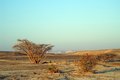 Free Desert Landscape Royalty Free Stock Photography - 5236227