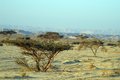Free Desert Landscape Royalty Free Stock Images - 5236229
