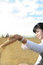 Free Business Woman With Beach Sand Royalty Free Stock Photos - 5233708