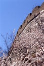 Free The Great Wall Royalty Free Stock Photos - 5240178