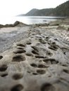 Free Sandstone Stock Image - 5240541