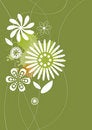 Free Flora Background Royalty Free Stock Images - 5248669