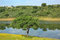 Free Landscape In The Water . Royalty Free Stock Image - 5249106