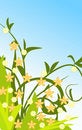 Free Design Summer Floral Background Stock Photography - 5255062