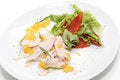 Free Chicken Breasts Carpaccio Stock Photography - 5256312