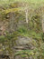 Free Hill Rock With Grass Trees And Moss Royalty Free Stock Photography - 5259437