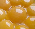 Free Lots Of Egg Yolks Stock Photography - 5260912