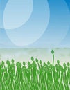 Free Green Tulip On The Blue Sky Stock Images - 5263934